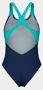Купальник Arena DREAMHLINE SWIMSUIT V BACK 008328-780