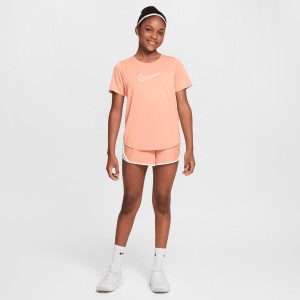 Футболка FZ5600-844 Nike FZ5600-844