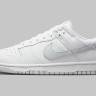 Кросівки Nike DUNK LOW RETRO DV0831-101