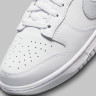 Кросівки Nike DUNK LOW RETRO DV0831-101