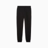 Штани спортивні ESS No. 1 Logo Sweatpants 68244801 Puma M Чорний 68244801