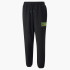 Штани  Puma x SANTA CRUZ Sweatpants 532245 01