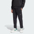 Штани M A SZN FL R PT IX1246 Adidas M Чорний IX1246