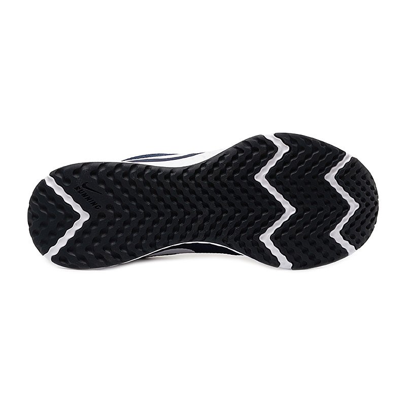 Кросівки бігові Nike REVOLUTION 5 BQ3204-400