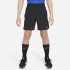 Шорти дитячі Nike B Dri-Fit Challenger Short Black FD0238-010