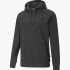 Кофта (худі) чоловіча Puma ESSENTIALS SMALL LOGO HOODIE (58692 07) L 586692 07