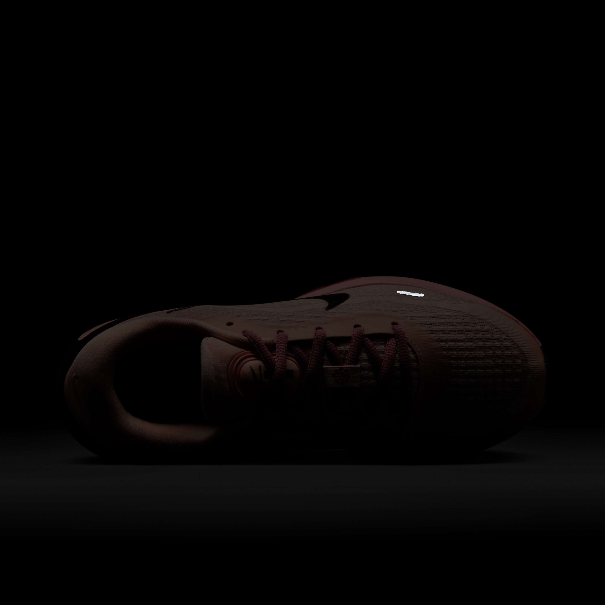 Кросівки Nike W JOURNEY RUN FJ7765-800