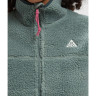 Толстовка Nike ACG 'Canwell Glacier' CREEN HV4705-364