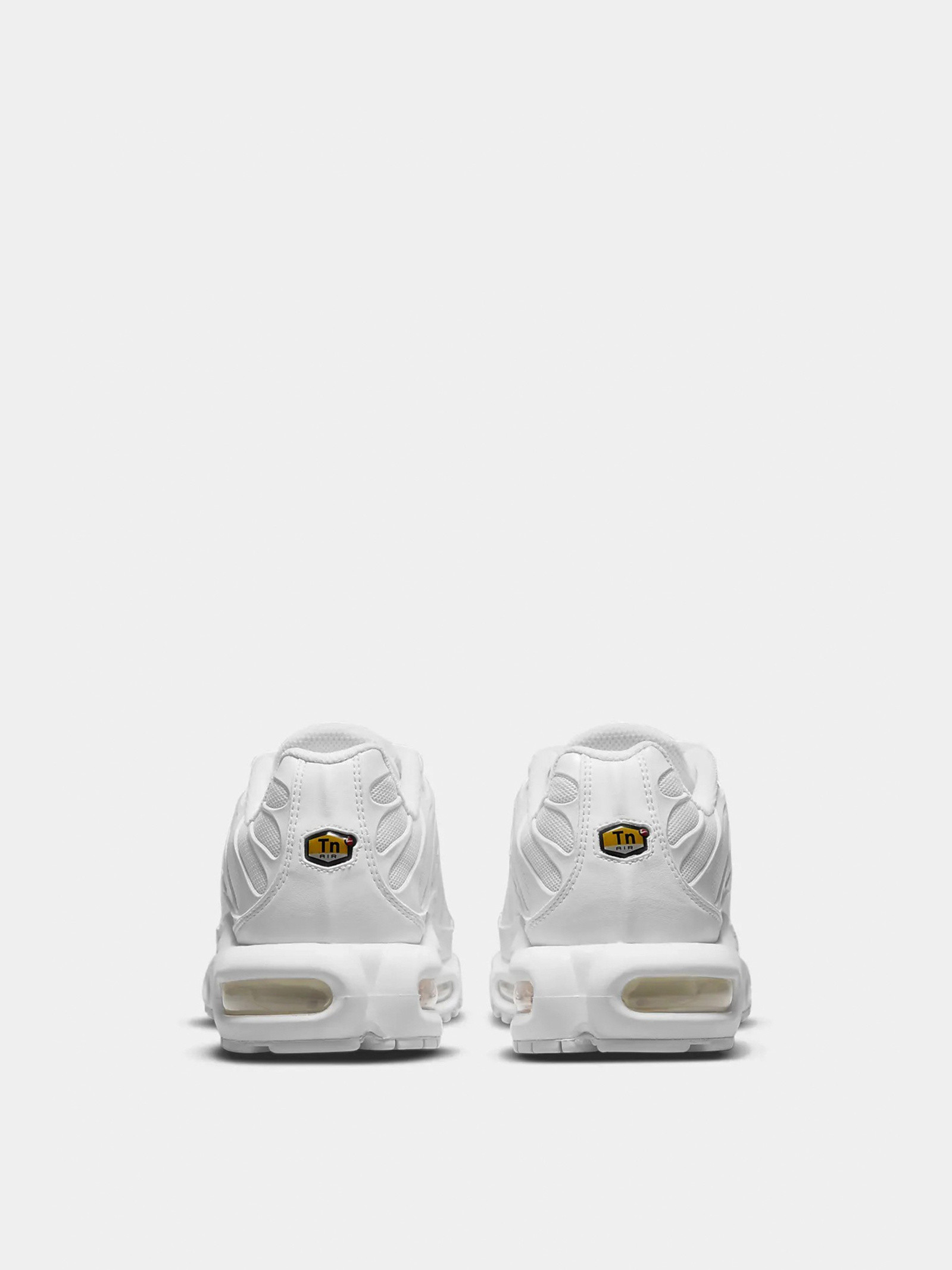 Кросівки Nike WMNS AIR MAX PLUS DM2362-100