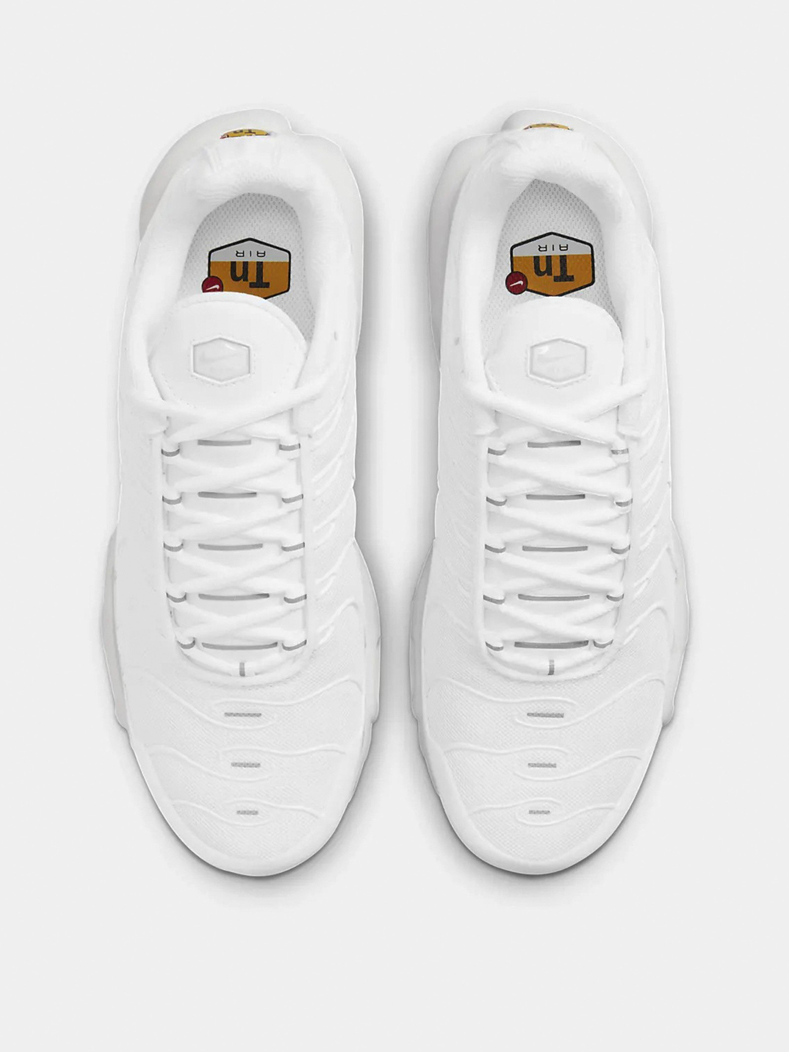 Кросівки Nike WMNS AIR MAX PLUS DM2362-100