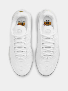 Кросівки Nike WMNS AIR MAX PLUS DM2362-100