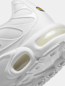 Кросівки Nike WMNS AIR MAX PLUS DM2362-100