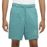 Шорти Jordan Essentials Mesh Turquoise DH9048-392
