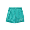 Шорти Jordan Essentials Mesh Turquoise DH9048-392