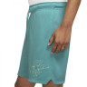 Шорти Jordan Essentials Mesh Turquoise DH9048-392