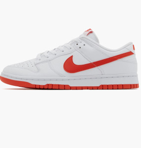 Кросівки Nike DUNK LOW RETRO DV0831-103