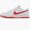 Кросівки Nike DUNK LOW RETRO DV0831-103
