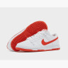 Кросівки Nike DUNK LOW RETRO DV0831-103