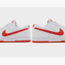Кросівки Nike DUNK LOW RETRO DV0831-103