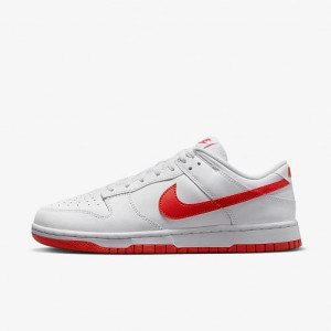 Кросівки Nike DUNK LOW RETRO DV0831-103