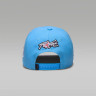 Бейсболка Nike Air Jordan Curved Brim Cap 9A9086-B9F