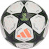 М'яч футбольний adidas UCL Competition 24/25 Group Stage IX4061 IX4061