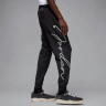 Штани Jordan MVP HF9309-045
