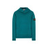 Худі Stone Island Green Hoodie 791561720 V0057
