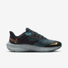 Кросівки чоловічі Nike Pegasus 39 Shield Weatherised Road Running Shoes Turquoise DO7625-300
