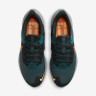 Кросівки чоловічі Nike Pegasus 39 Shield Weatherised Road Running Shoes Turquoise DO7625-300