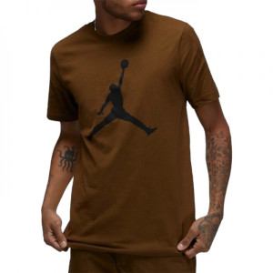 Футболка Jordan Jumpman CJ0921-385