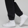 Штани JORDAN W J BRKLN FLC PANT 2 FN4494-010