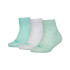 Шкарпетки Puma KIDS QUARTER 3P білий, м'ятний Діт 39-42 194011001-011