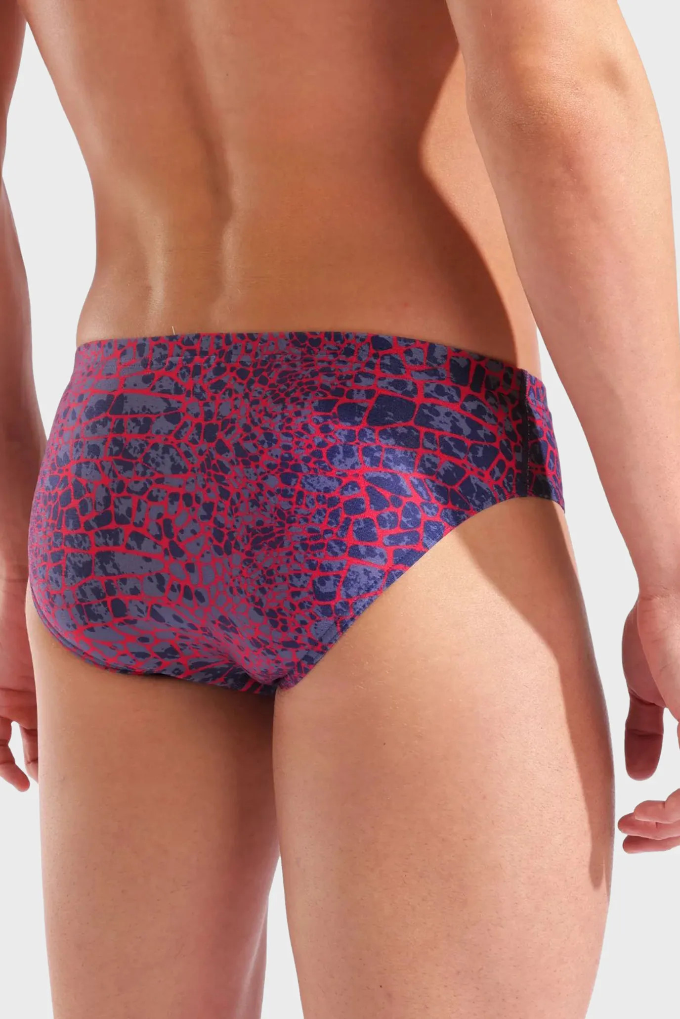 Плавки Arena SNAKESKIN SWIM BRIEFS 010162-417