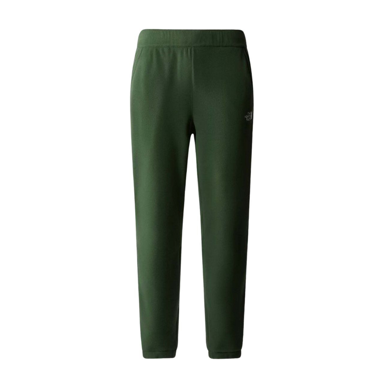 Штани The North Face GLACIER PANT NF0A8561I0P1