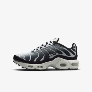 Кросівки Nike TN Air Max Plus GS Black Metallic Cool Grey CD0609-026