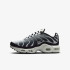 Кросівки Nike TN Air Max Plus GS Black Metallic Cool Grey CD0609-026