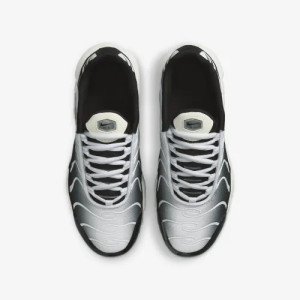 Кросівки Nike TN Air Max Plus GS Black Metallic Cool Grey CD0609-026