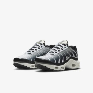Кросівки Nike TN Air Max Plus GS Black Metallic Cool Grey CD0609-026
