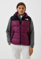 Жилетка The North Face NF0A4QZ4