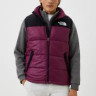 Жилетка The North Face NF0A4QZ4