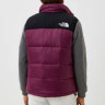 Жилетка The North Face NF0A4QZ4