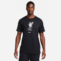 Футболка чоловіча Nike Liverpool Fc Black DM3482-014