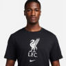 Футболка чоловіча Nike Liverpool Fc Black DM3482-014
