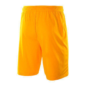 Шорти Nike Park II KNIT SHORT NB 725887-739