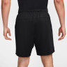 Шорти Nike M DF TOTALITY GFX SHORT 7UL FV9618-010