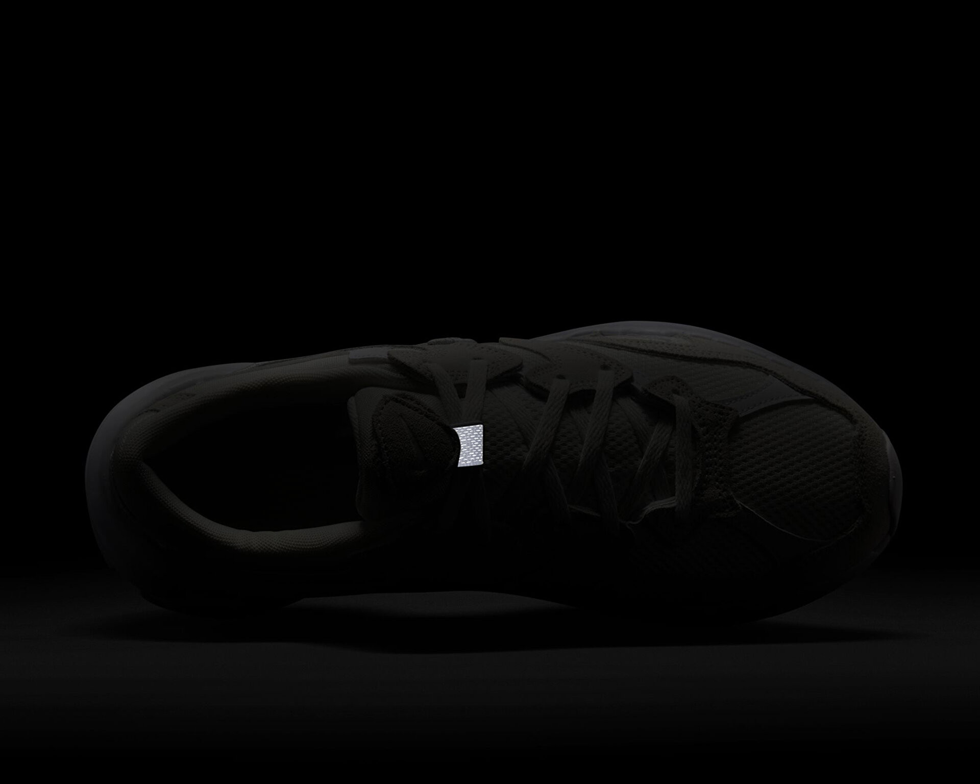 Кросівки Nike W AL8 FJ3794-107