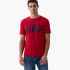 Футболка чоловіча Gap Everyday Soft Crewneck T-Shirt Red 855769071 L 855769071
