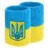 Напульсник унісекс Wristbands 2Pk Blue/Yellow BC-4063