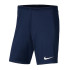 Шорти Nike Y DF PARK III SHORT NB K BV6865-410